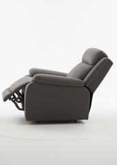 Elite Electric Recliner