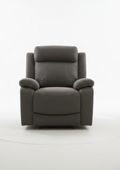 Elite Electric Recliner