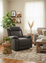 Elite Electric Recliner