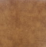 Tan Leather reference