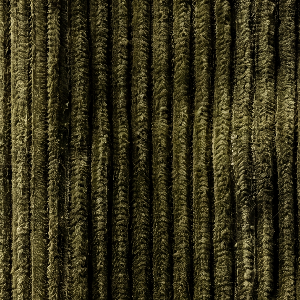 🫒 Olive Green Corduroy