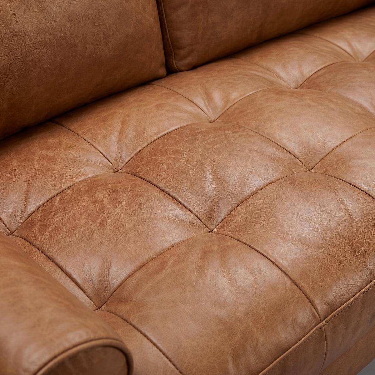 Rolo Sofa - View 2 | Vibe Sofas Australia