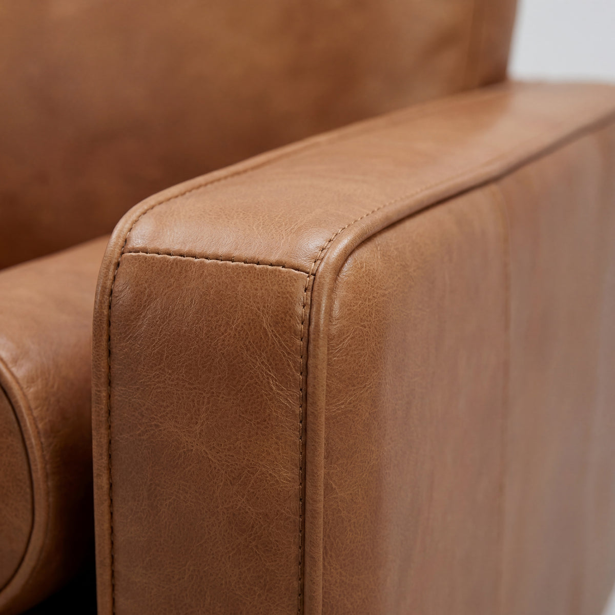 Rolo Sofa - Room Setting | Vibe Sofas Australia