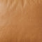Rolo Tan Leather  reference card